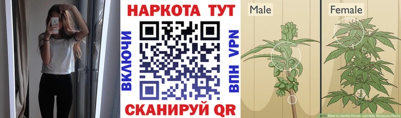 Купить закладку Майкоп АМФЕТАМИН  COCAIN  Мефедрон  Бошки Шишки 