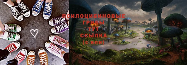 спиды Алексин