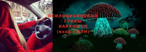 спиды Алексин