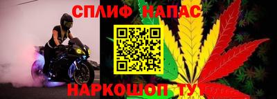 дурь Камышлов
