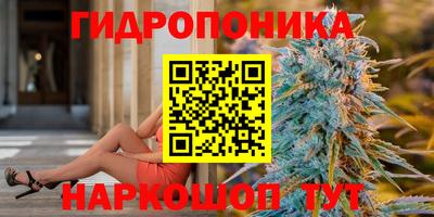 дурь Камышлов