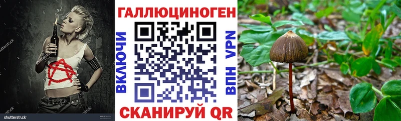 Псилоцибиновые грибы Psilocybine cubensis  мега ссылки  Майкоп 