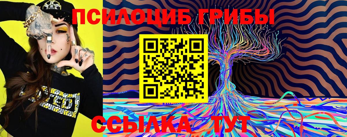 Галлюциногенные грибы ЛСД  Вход с VPN  Псилоцибиновые грибы мицелий  Майкоп 